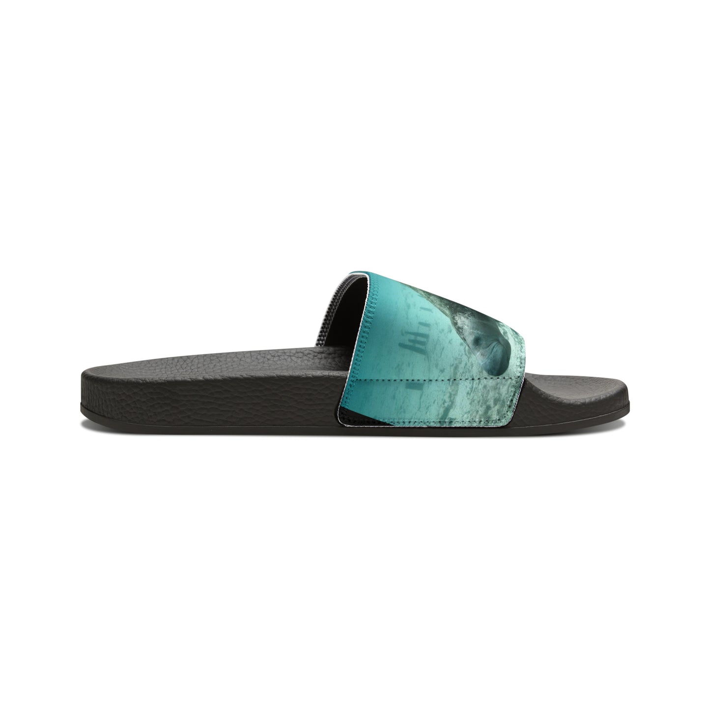 Manatee Slides