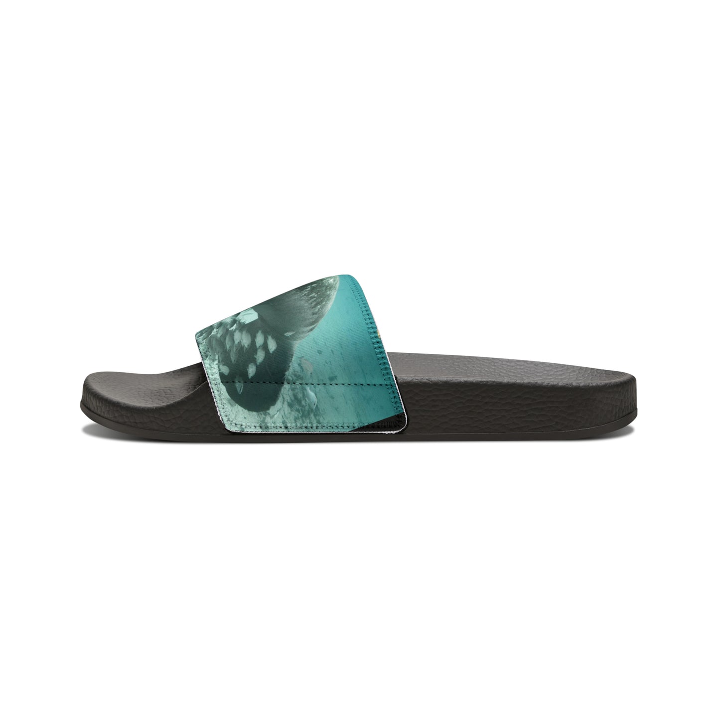 Manatee Slides