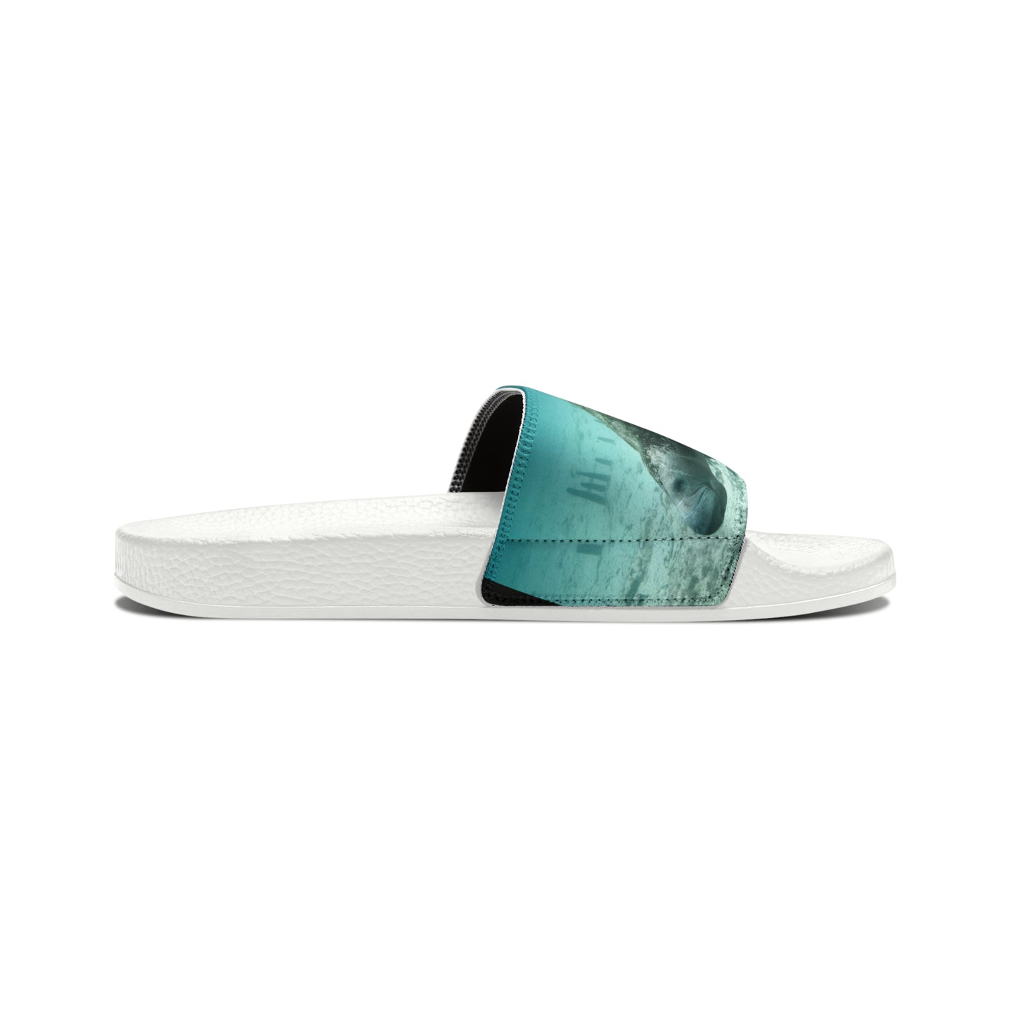 Manatee Slides