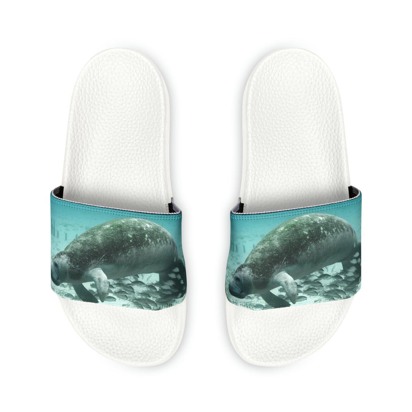 Manatee Slides