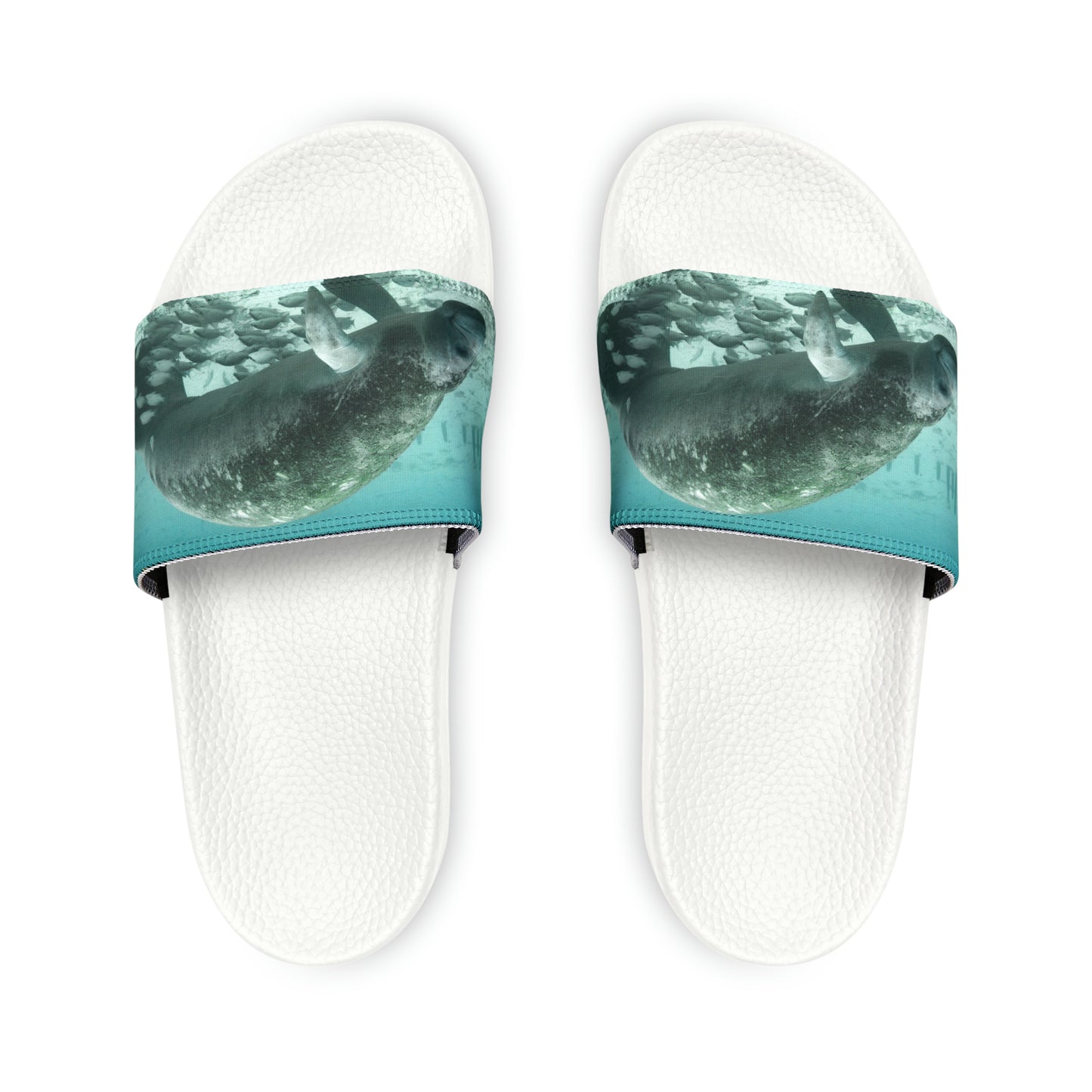 Manatee Slides