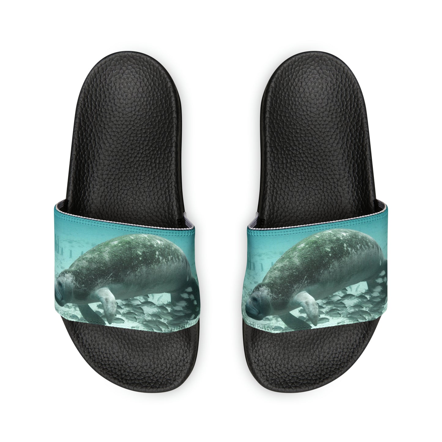Manatee Slides