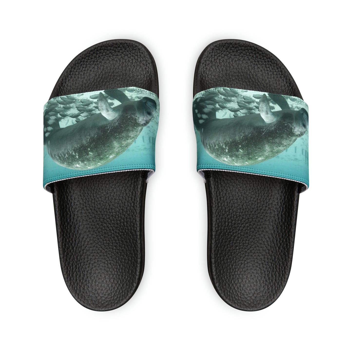 Manatee Slides