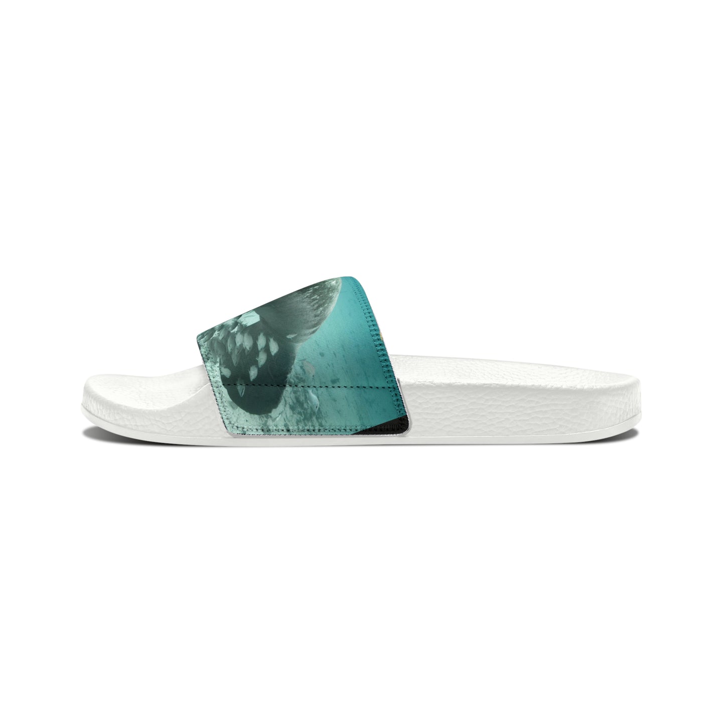 Manatee Slides